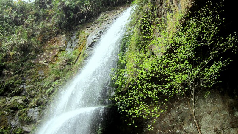 Waterfall in Forest — Green, Serene, Spring, Photograph, Trees, Rock, Moss