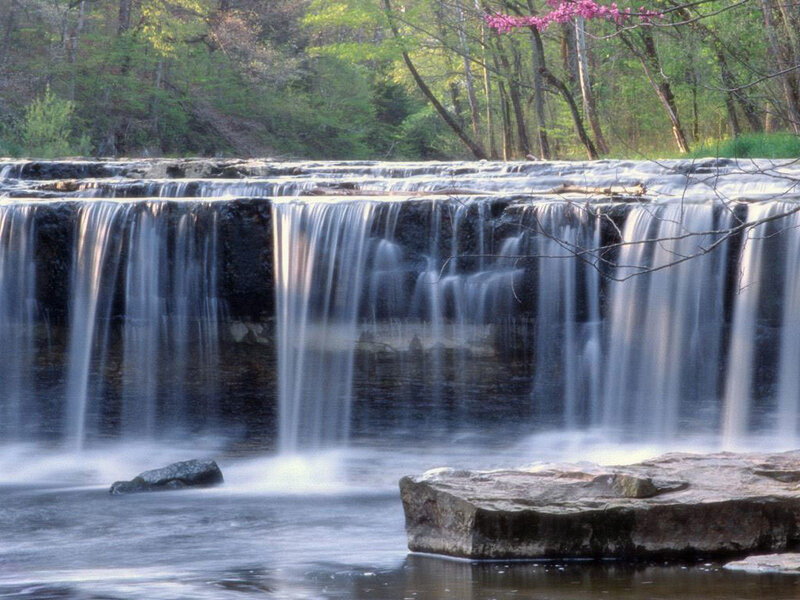 Waterfall in Forest — Green, Serene, Spring, Photograph, Trees, Rocks, Flowers, Blue