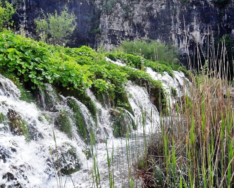 Waterfall in Forest — Green, Serene, Spring, Photograph, Trees, Rocks, Grass