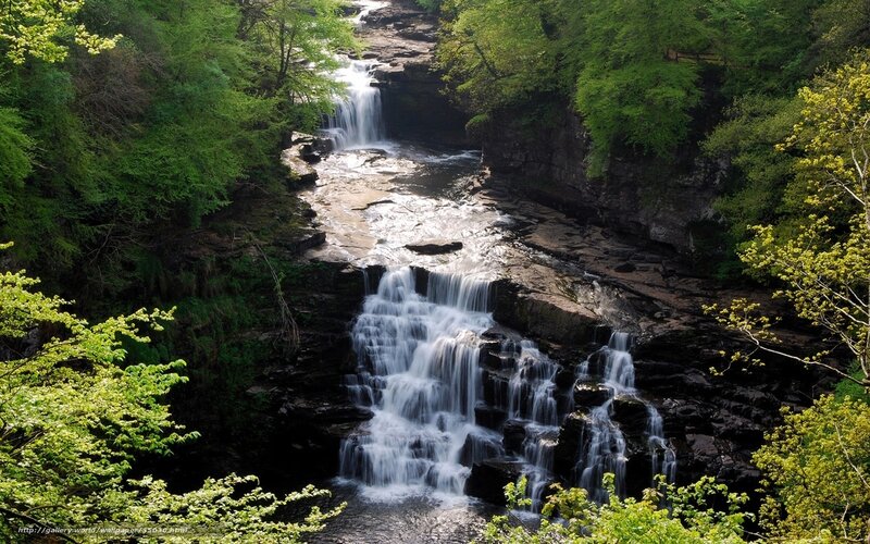 Waterfall in Forest — Green, Serene, Spring, Photograph, Trees, Rocks, River