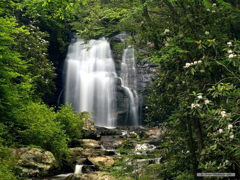 Waterfall in Forest — Green, Serene, Spring, Photograph, Trees, Rocks