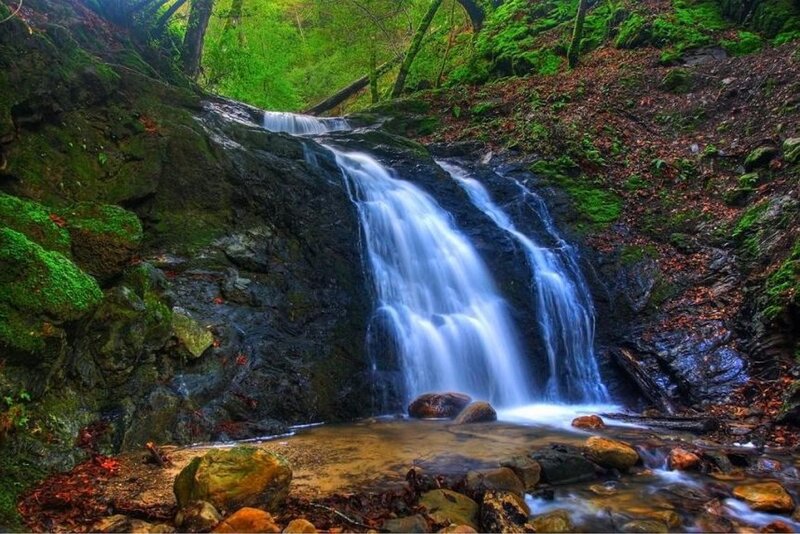 Waterfall in Forest — Green, Serene, Spring, Photograph, Trees