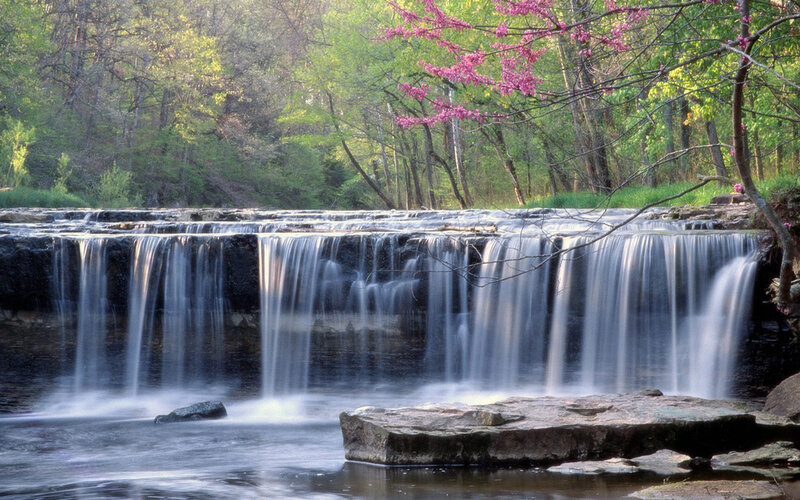 Waterfall in Forest — Green, Serene, Spring