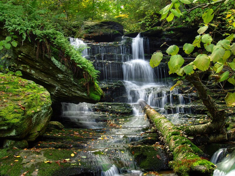 Waterfall in Forest — Green, Serene, Summer, Photograph, Moss