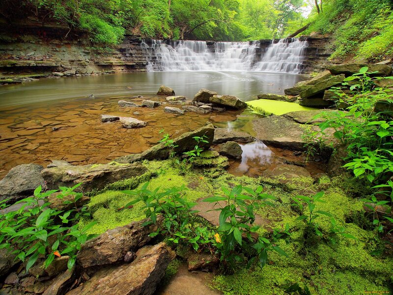 Waterfall in Forest — Green, Serene, Summer, Photograph, River, Rocks