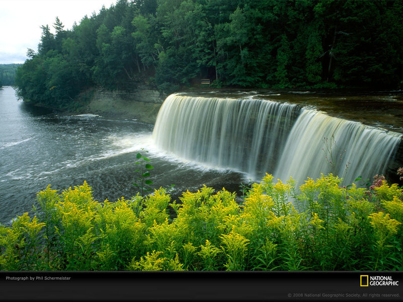 Waterfall in Forest — Green, Serene, Summer, Photograph, River, Trees, Flowers