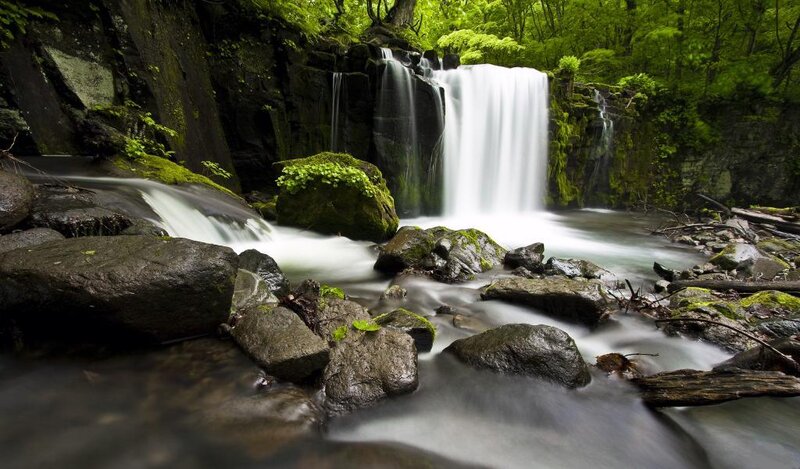 Waterfall in Forest — Green, Serene, Summer, Photograph, Rocks, Trees, Stream