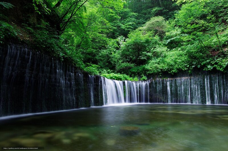 Waterfall in Forest — Green, Serene, Summer, Photograph, Stream, Trees