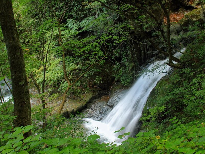 Waterfall in Forest — Green, Serene, Summer, Photograph