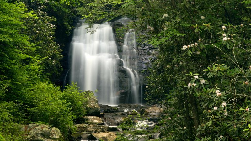 Waterfall in Forest — Green, Serene, Summer, Photograph, Trees, Flowers, Rocks