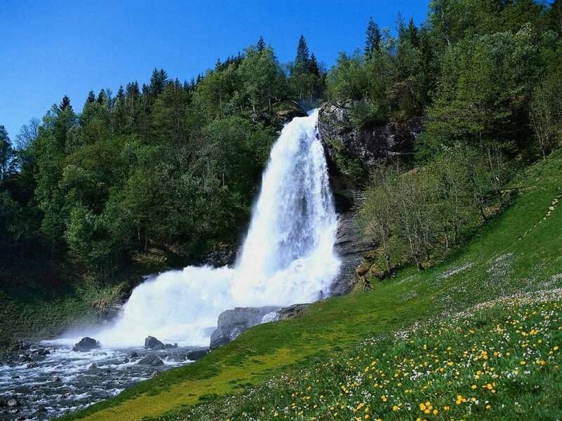 Waterfall in Forest — Green, Serene, Summer, Photograph, Trees, Grass