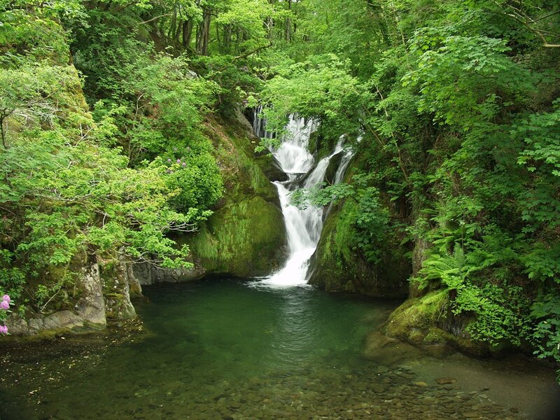 Waterfall in Forest — Green, Serene, Summer, Photograph, Trees, Pool