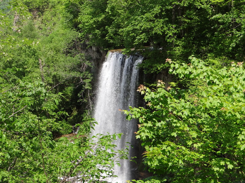 Waterfall in Forest — Green, Serene, Summer, Photograph, Trees, River, Cliff