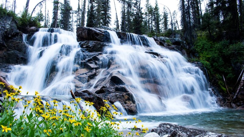 Waterfall in Forest — Green, Serene, Summer, Photograph, Trees, Rocks, Flowers