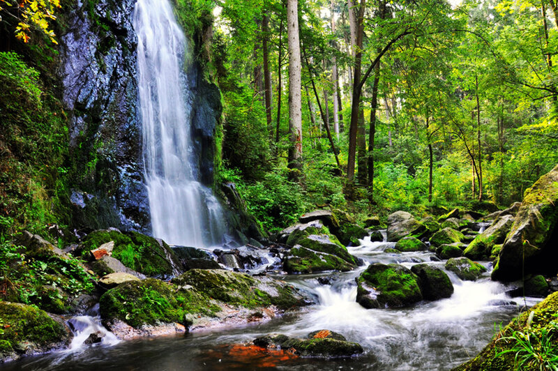 Waterfall in Forest — Green, Serene, Summer, Photograph, Trees, Rocks, Stream