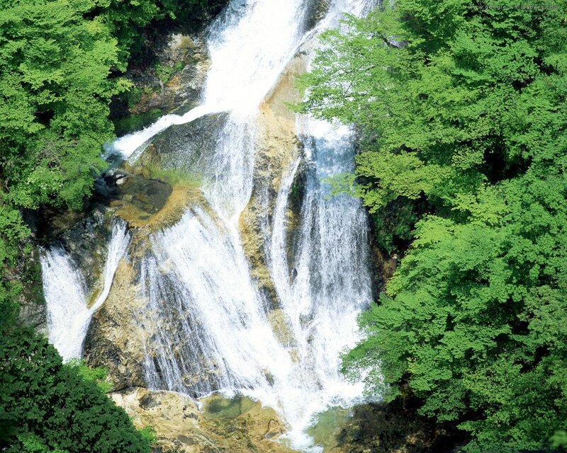 Waterfall in Forest — Green, Serene, Summer, Photograph, Trees, Rocks