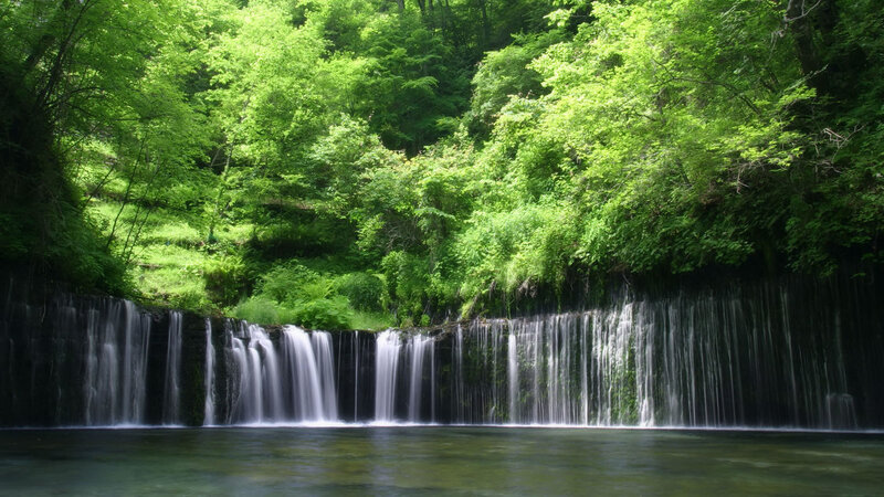 Waterfall in Forest — Green, Serene, Summer, Photograph, Trees