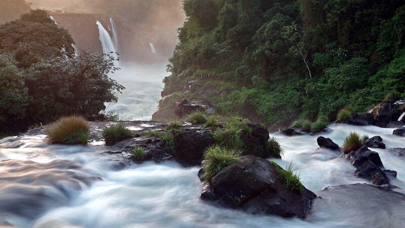 Waterfall in Forest — Green, Serene, Sunrise