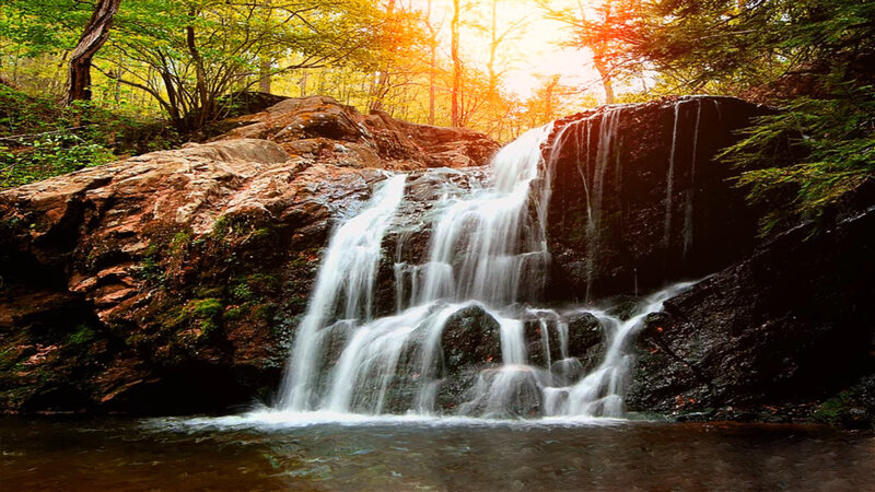 Waterfall in Forest — Green, Serene, Sunset, Photograph, Trees, Rocks, Sunlight