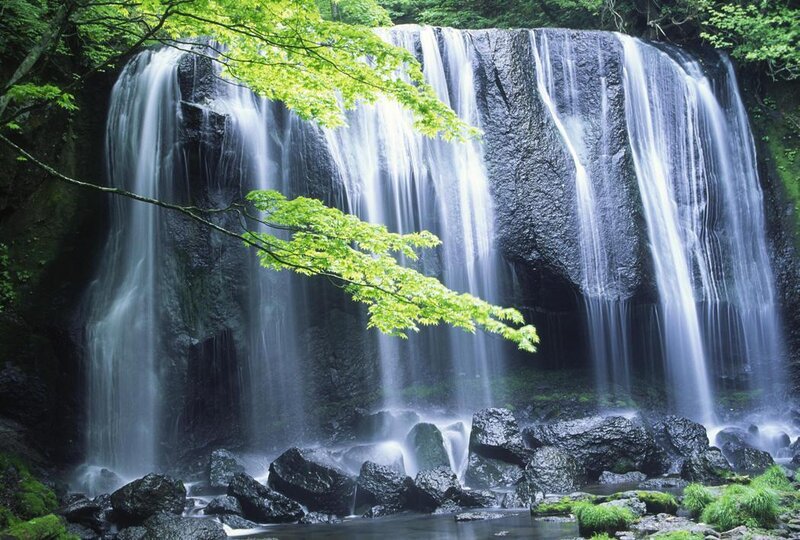 Waterfall in Forest — Green, Serene