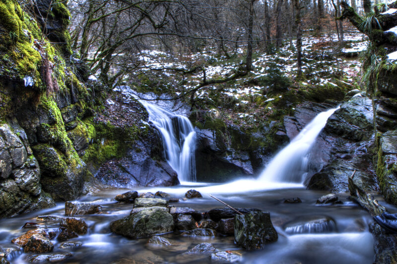 Waterfall in Forest — Green, Serene, Winter, Photograph