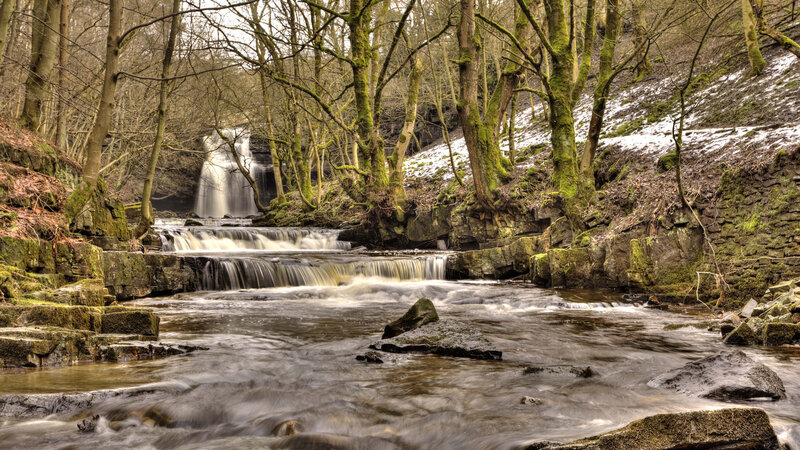 Waterfall in Forest — Green, Serene, Winter, Photograph, Trees, Rocks