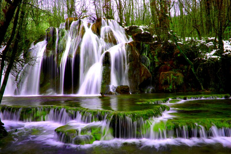Waterfall in Forest — Green, Serene, Winter, Photograph, Trees