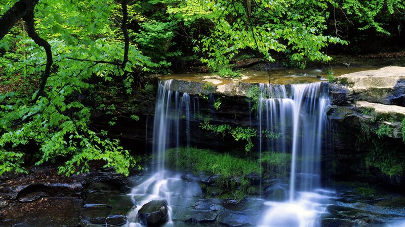 Waterfall in Forest — Green, Summer