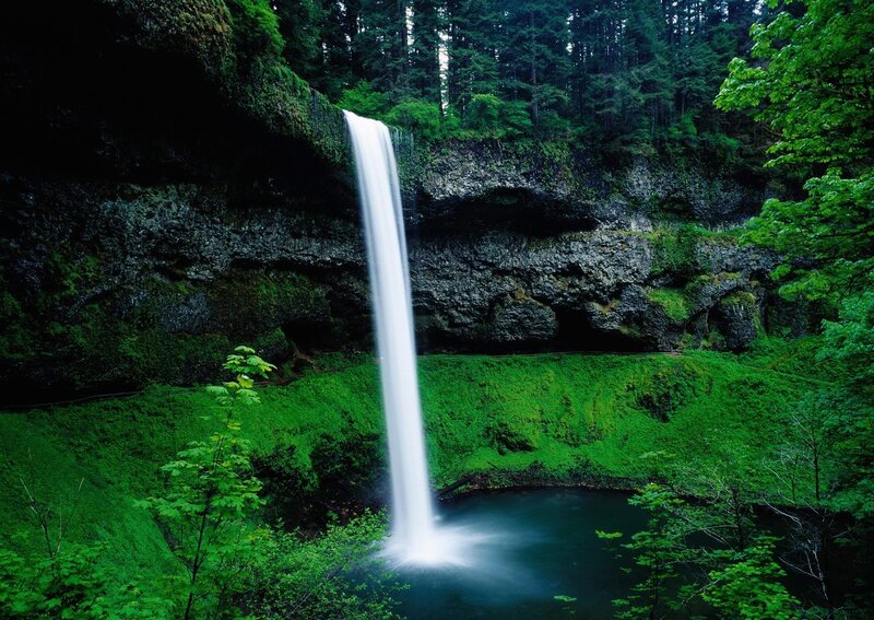 Waterfall in Forest — Green