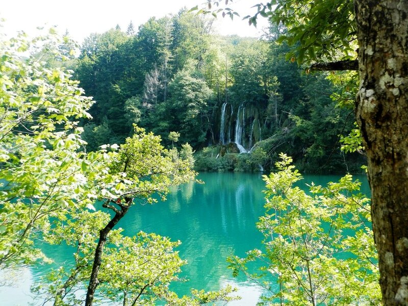 Waterfall in Forest Lake — Green