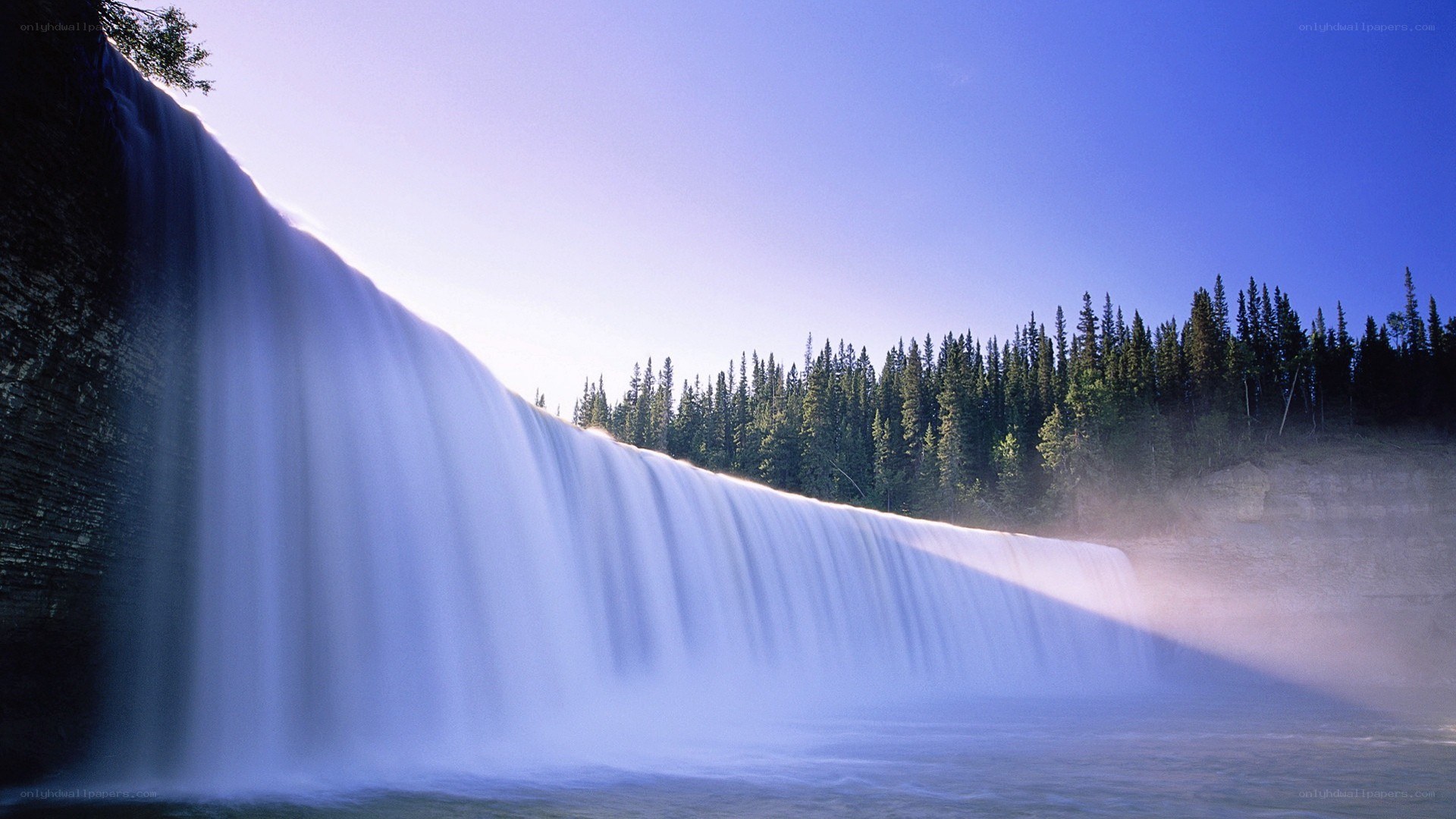 Waterfall in forest landscape
