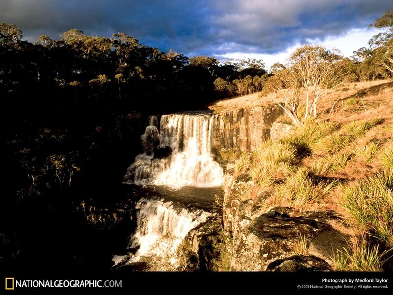 Waterfall in forest landscape