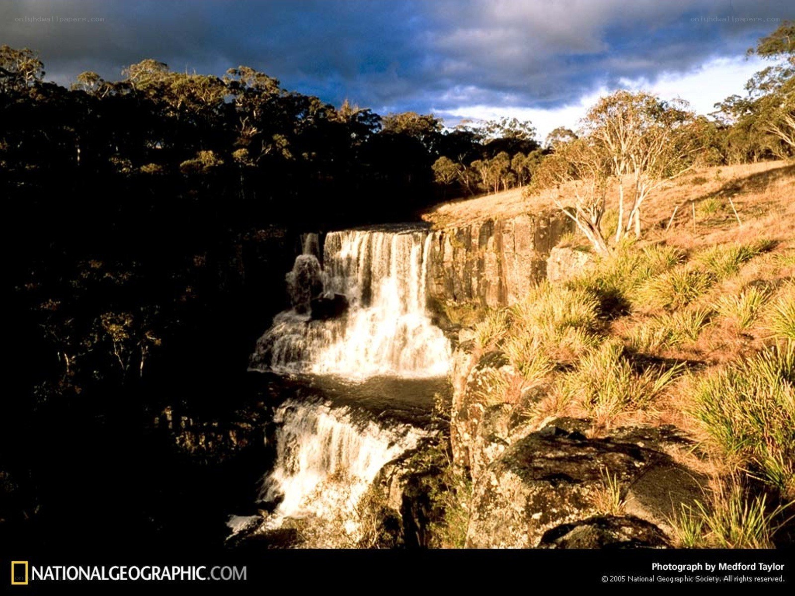 Waterfall in forest landscape