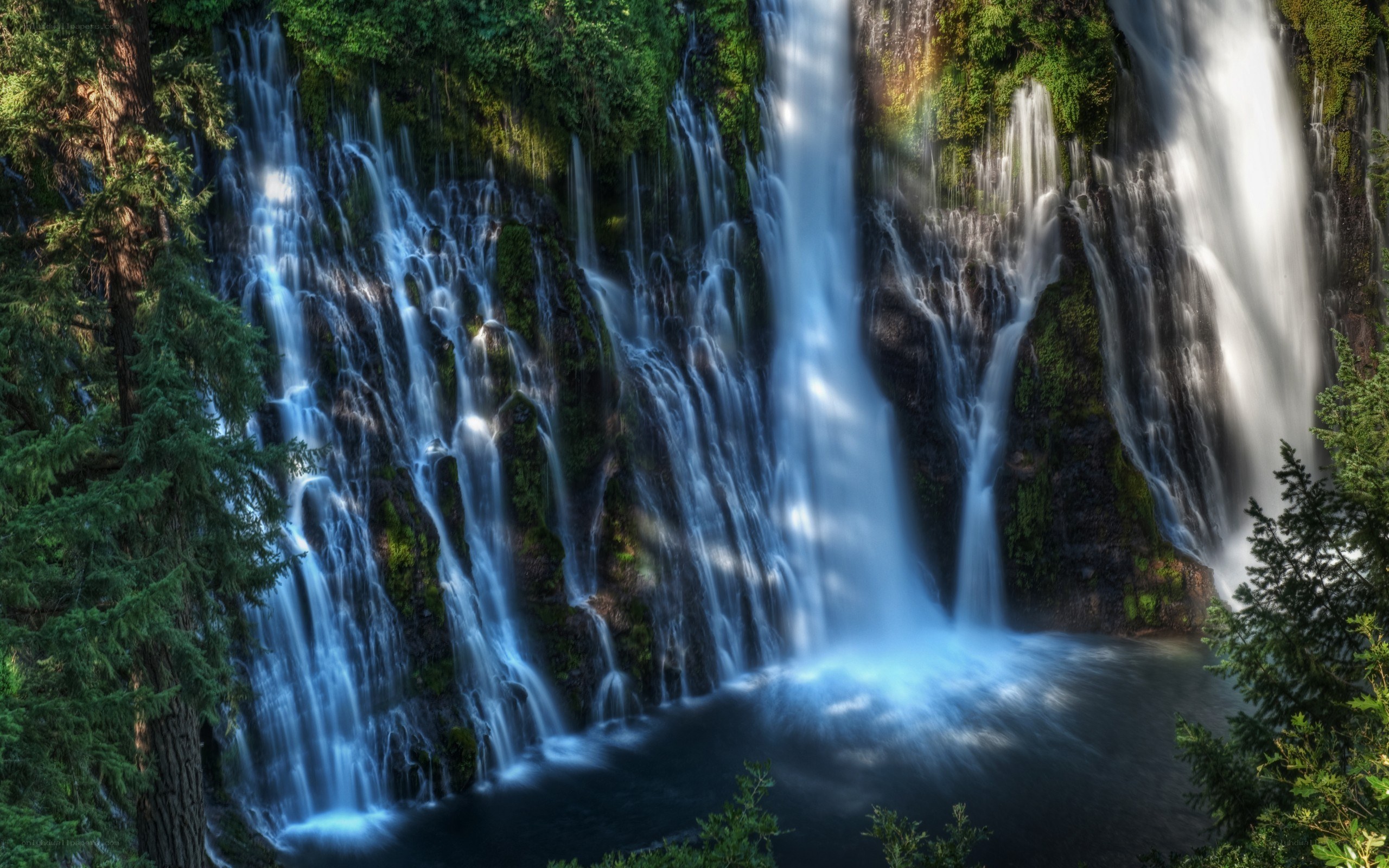 Waterfall in forest landscape