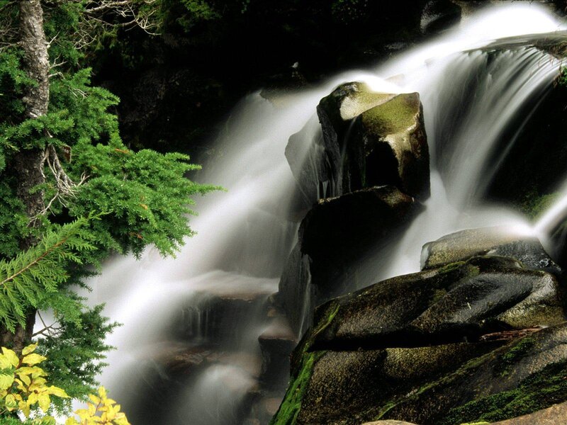 Waterfall in forest landscape