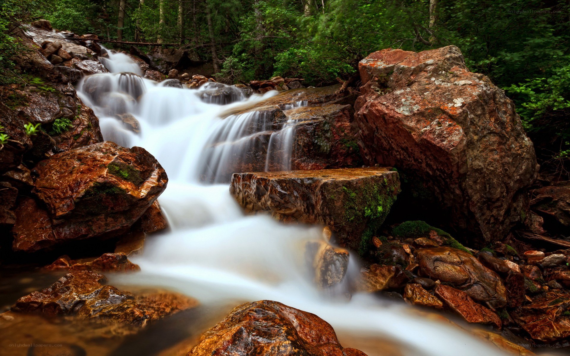 Waterfall in forest landscape
