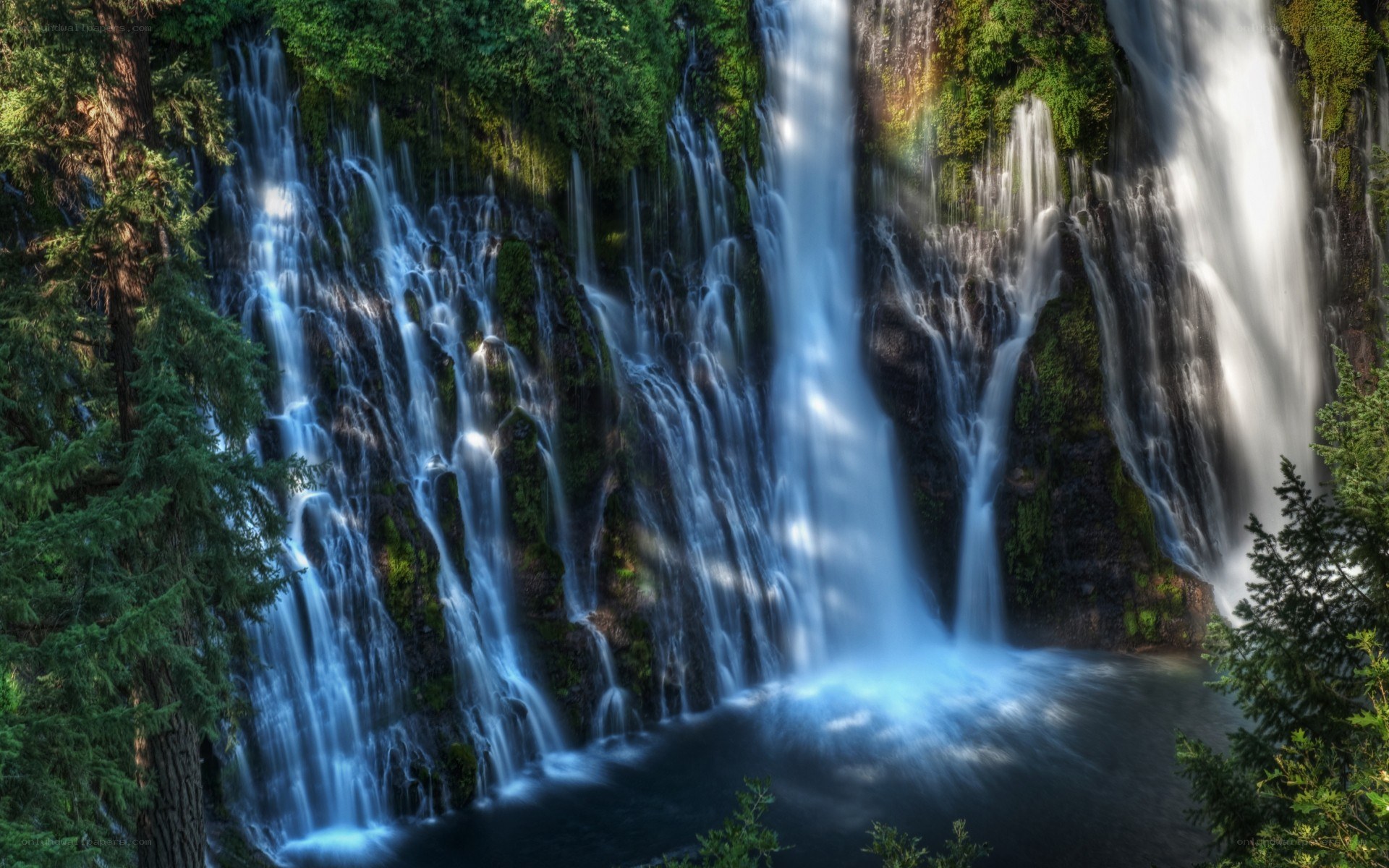 Waterfall in forest landscape