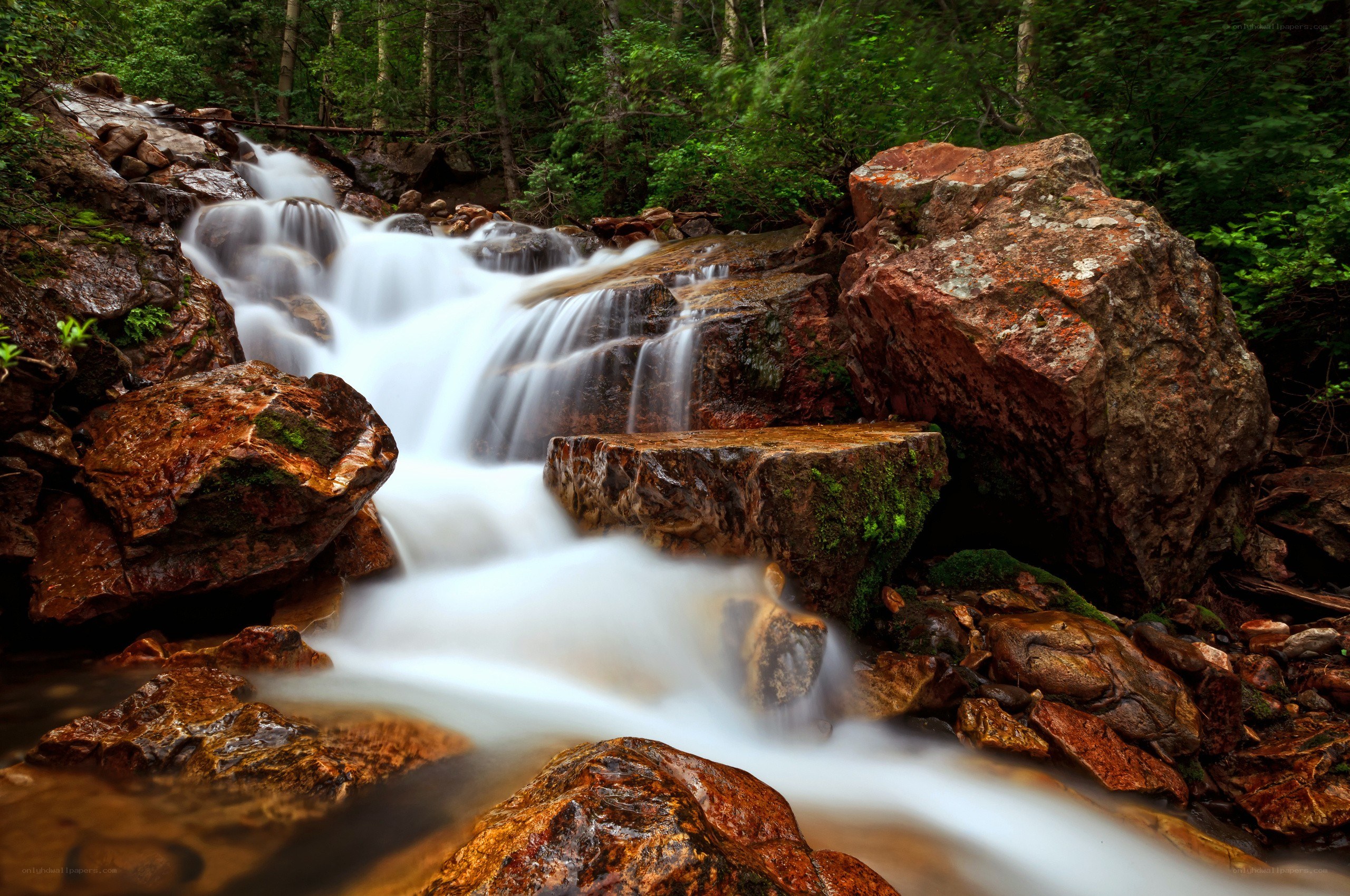 Waterfall in forest landscape