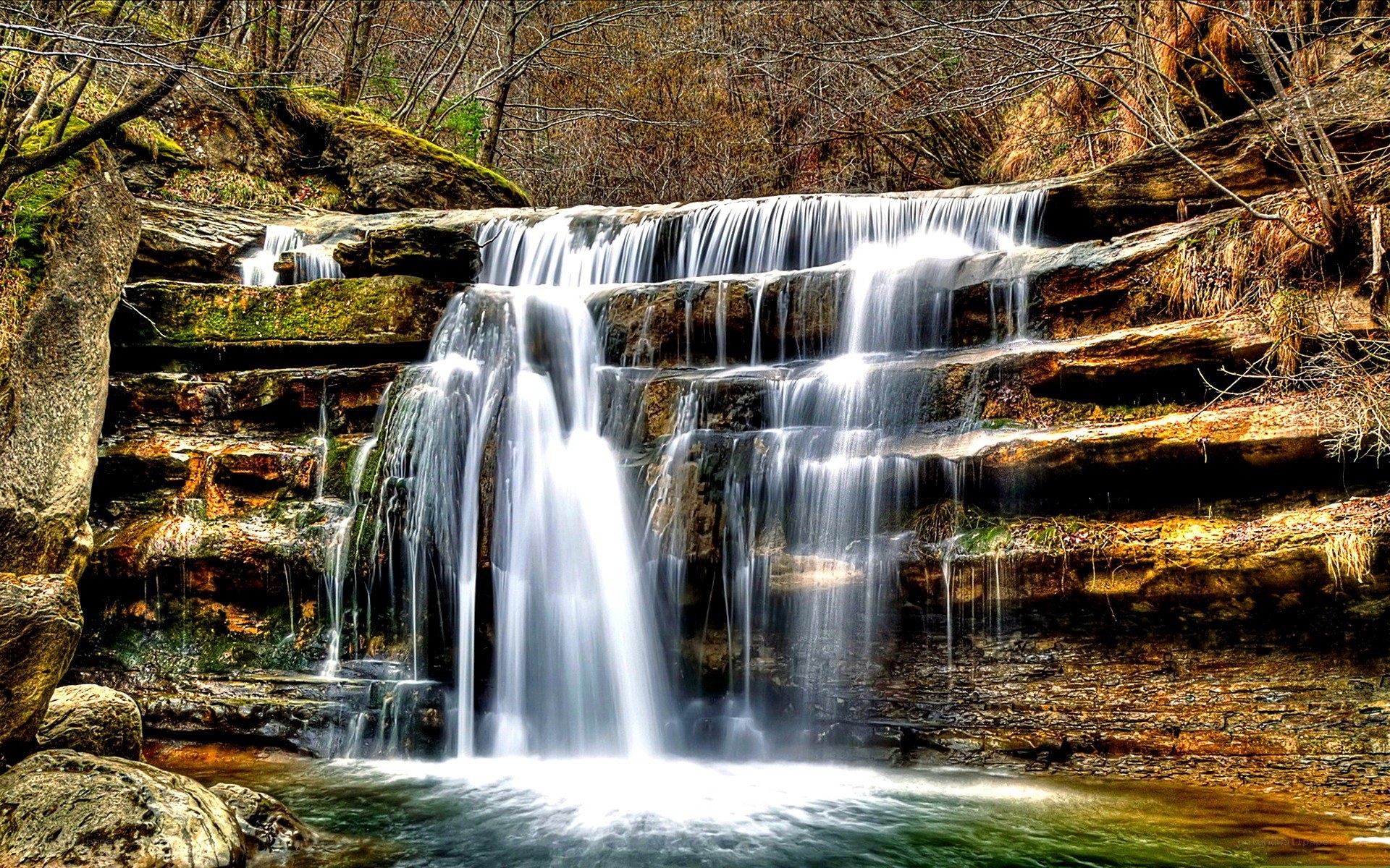 Waterfall in forest landscape