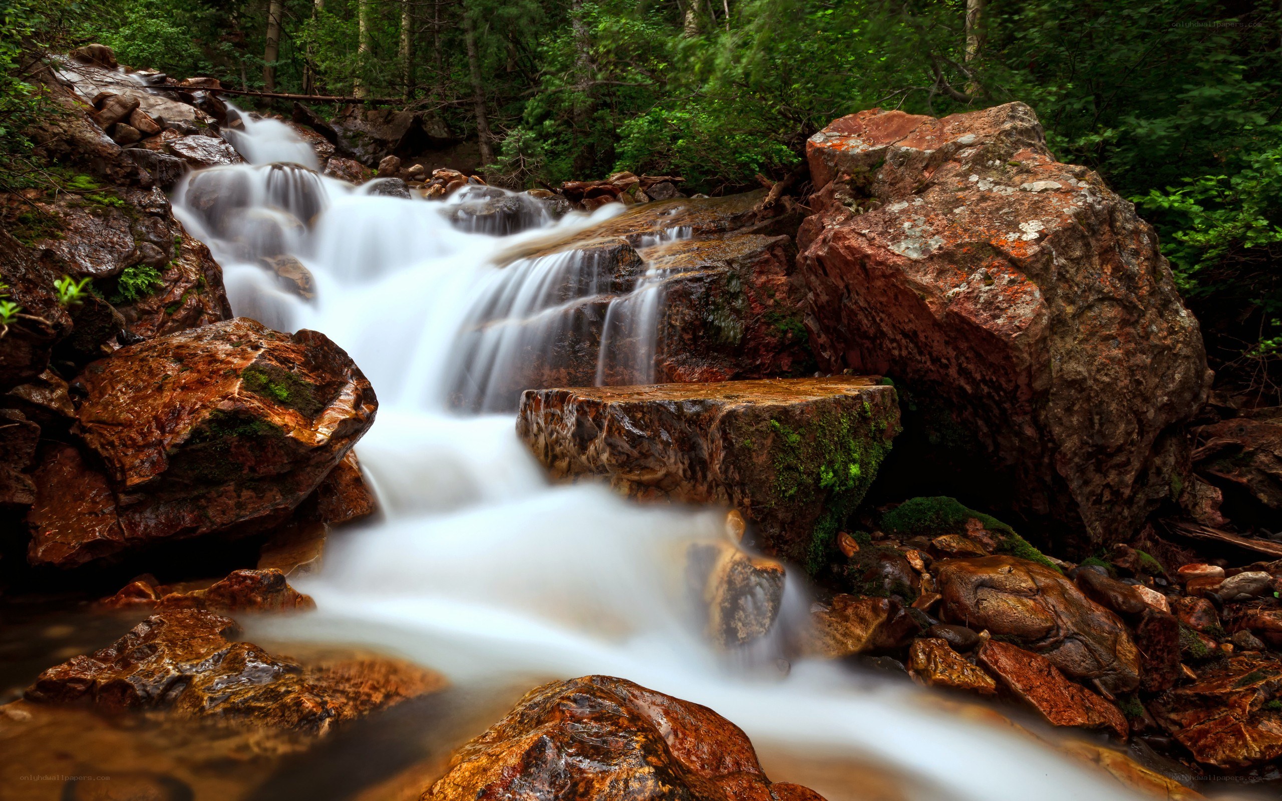 Waterfall in forest landscape