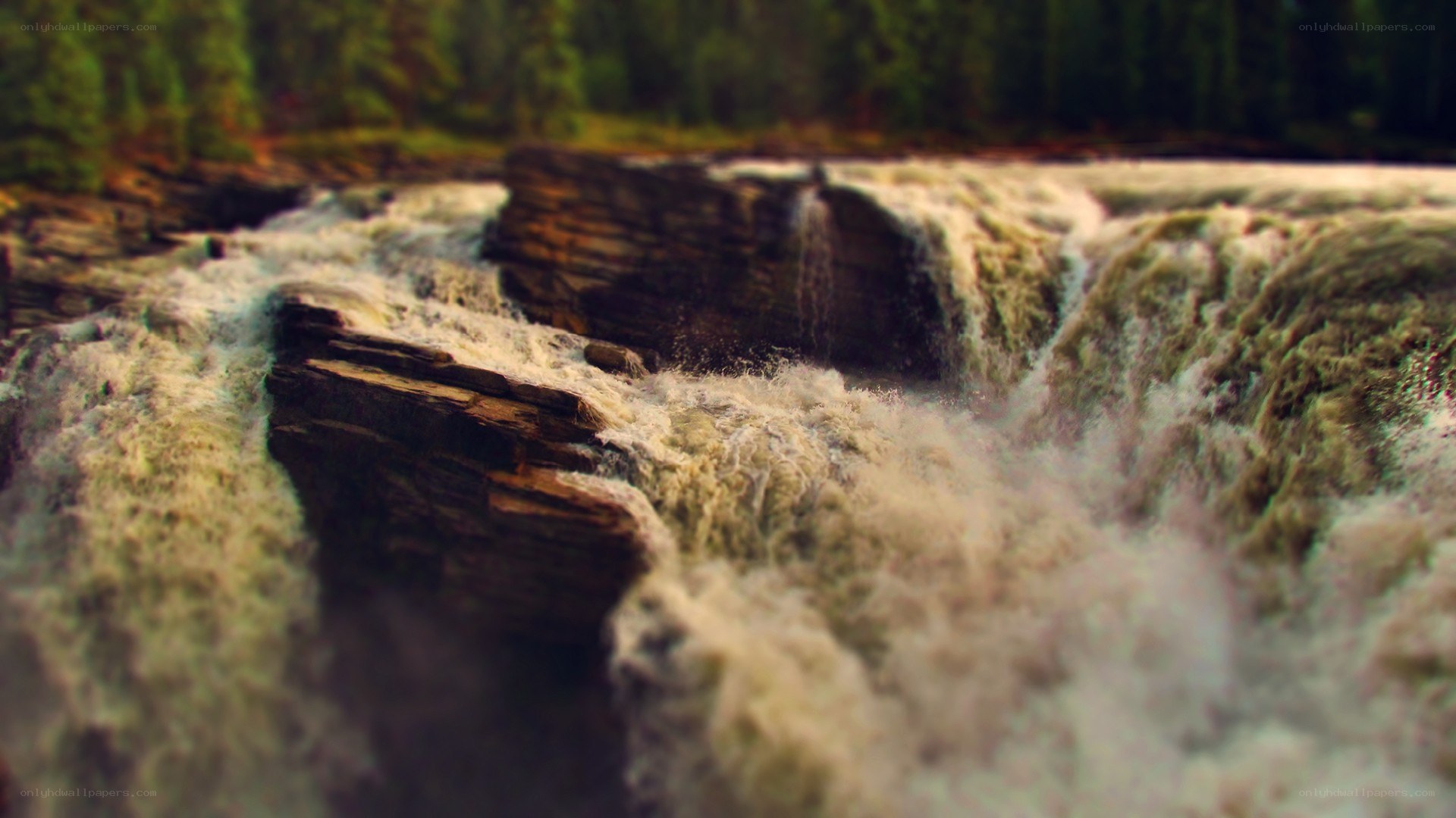 Waterfall in forest landscape