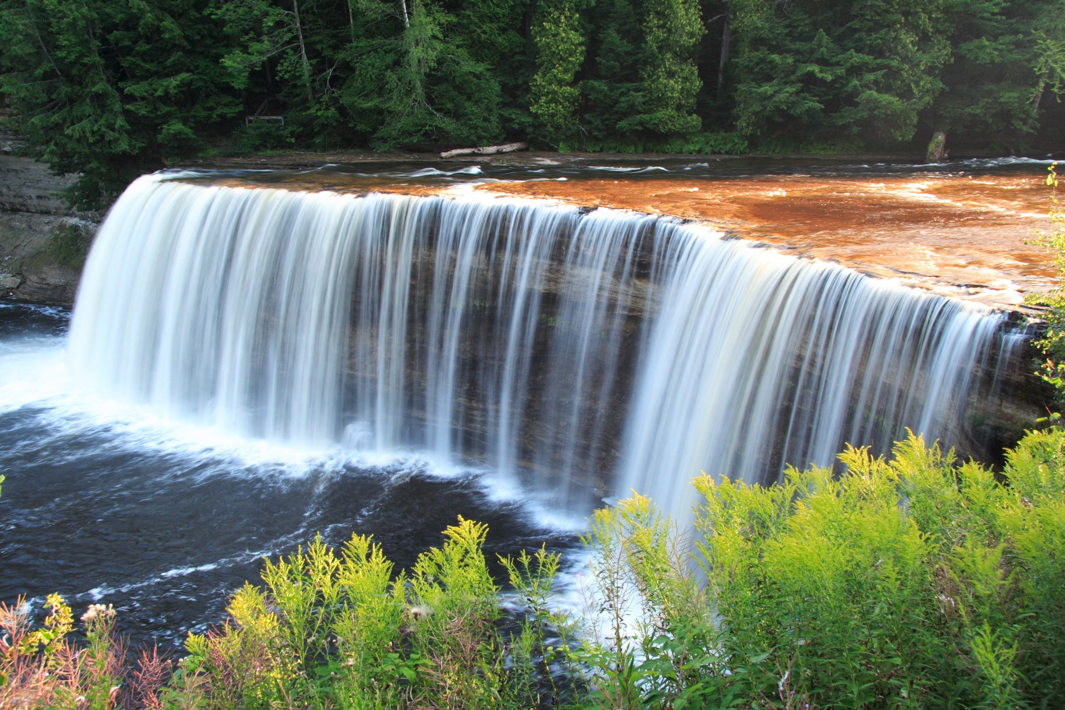 Waterfall in forest landscape