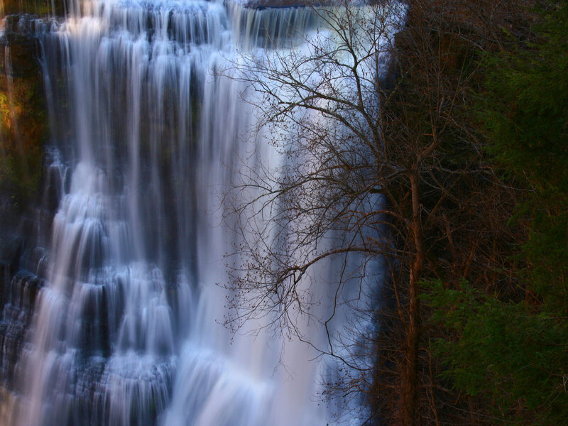 Waterfall in forest landscape