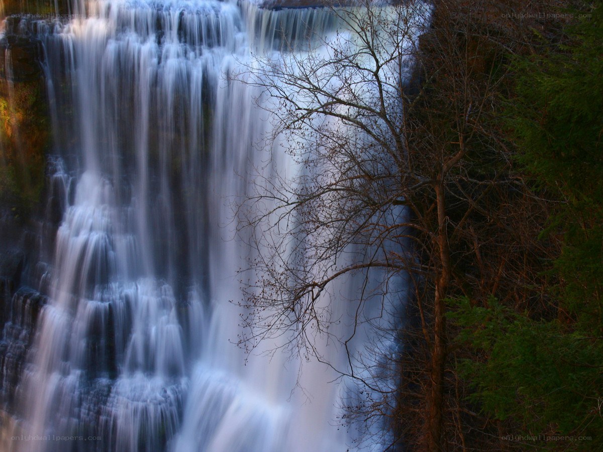 Waterfall in forest landscape