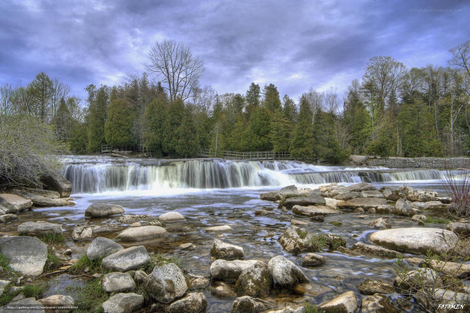 Waterfall in forest landscape