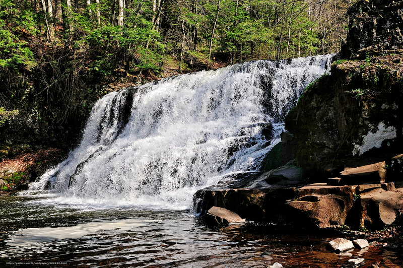 Waterfall in forest landscape