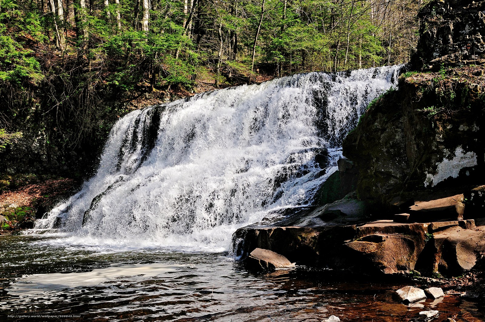 Waterfall in forest landscape