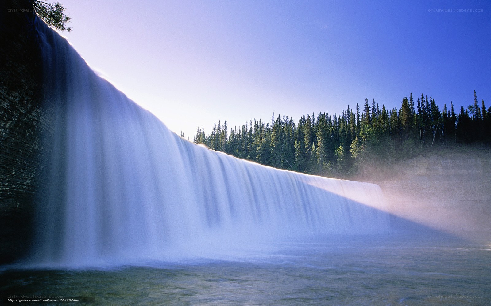 Waterfall in forest landscape