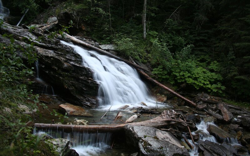 Waterfall in Forest — Logs