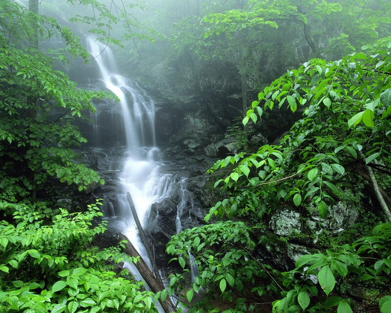Waterfall in Forest — Morning, Mist